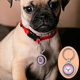 Anti-Loss Dog Pendant - Scan QR Code To Find Owner's Contact Details