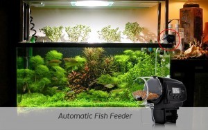 Automatic Fish Feeder with LCD Display (Anti-Jam Design)