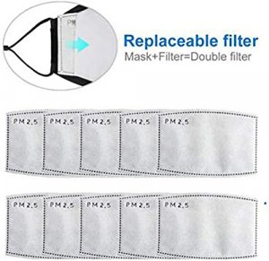 Replacement PM2.5 Filters for Face Masks x 2