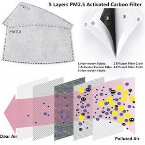 Replacement PM2.5 Filters for Face Masks x 2