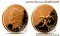 1 Ounce Copper Round Zombucks™ - Morgue Anne #2 - Final Mintage 110,602 